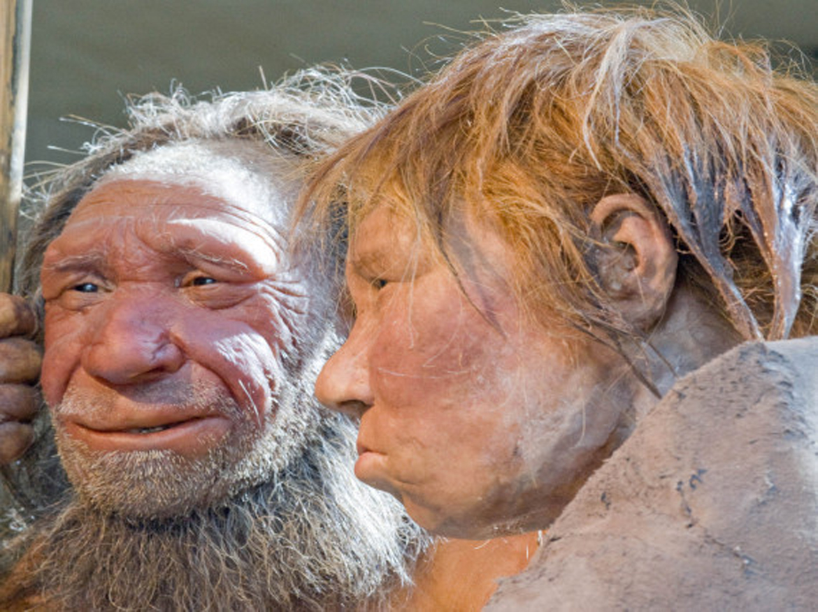 r-neanderthal-large570s.jpg